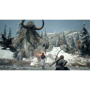 Game Dragon's Dogma 2: Dark Arisen - Hình ảnh 3
